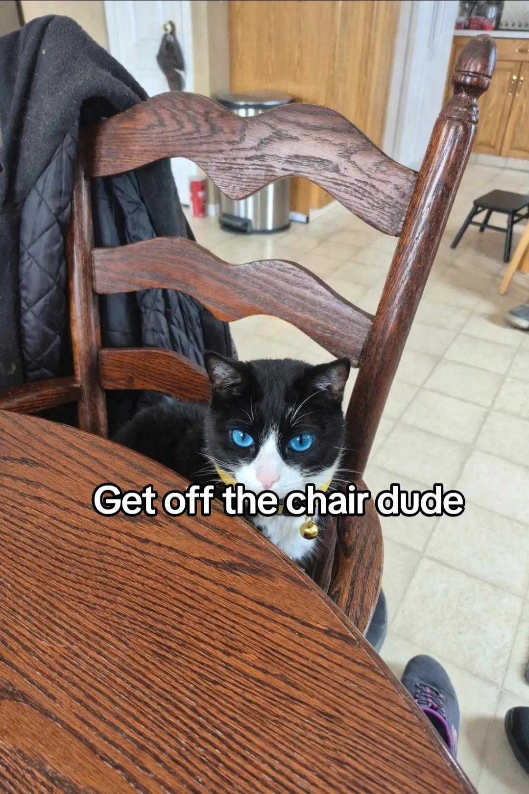 @Tortle