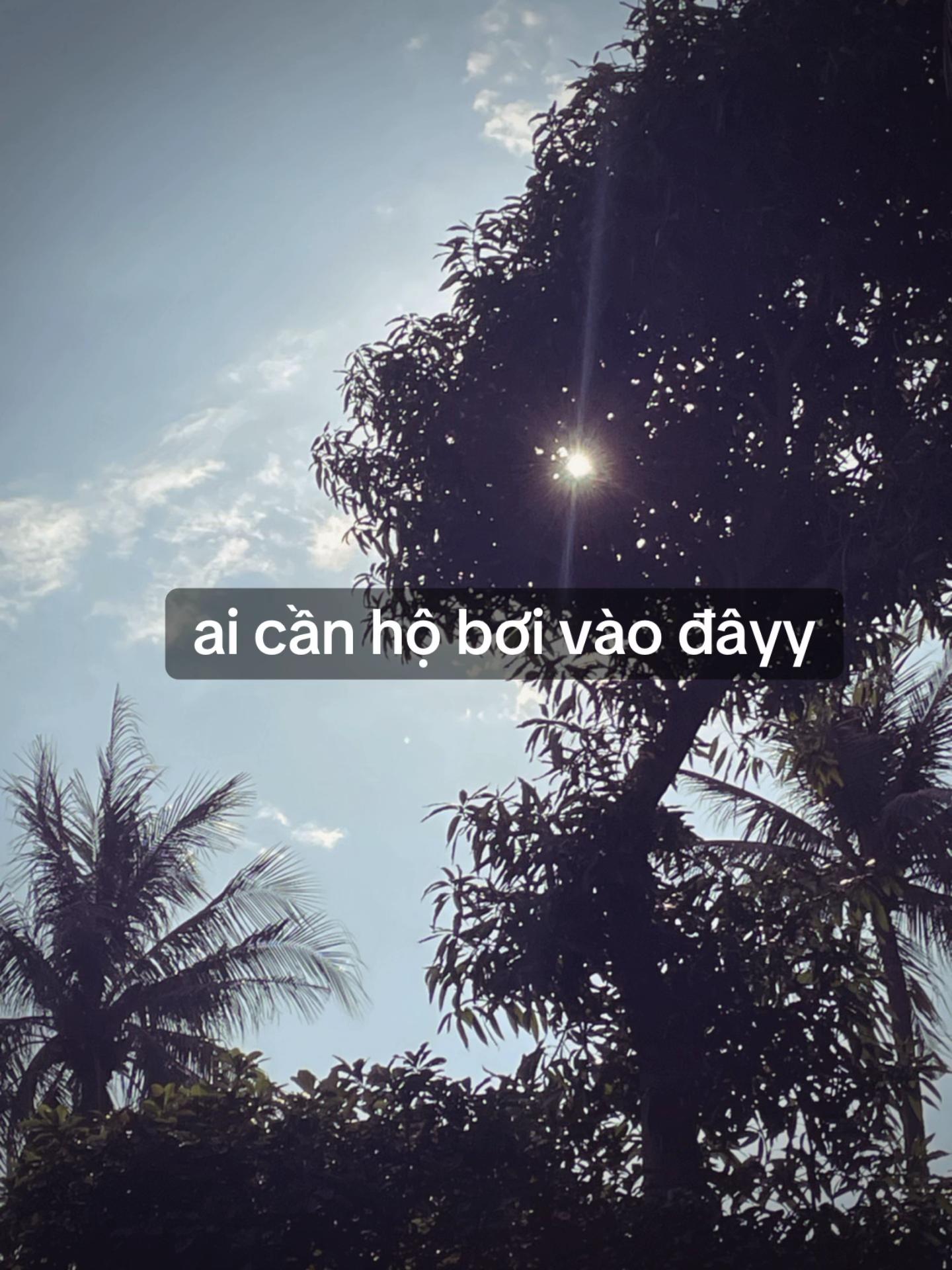 @mimi