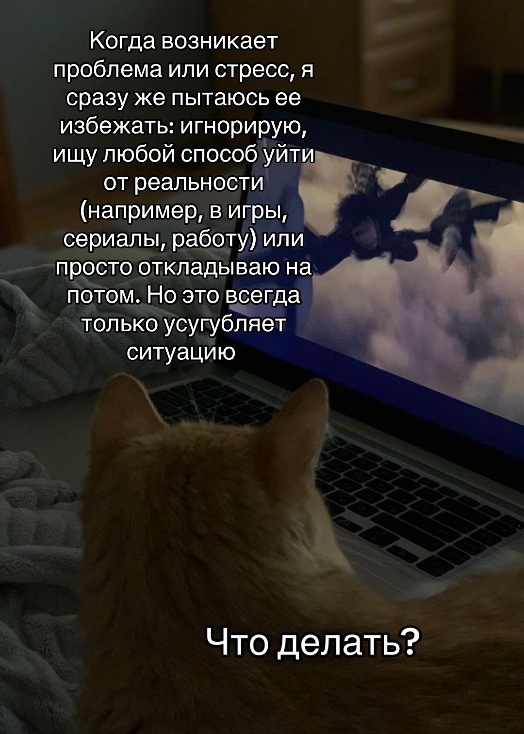 @тгк: психология с марго