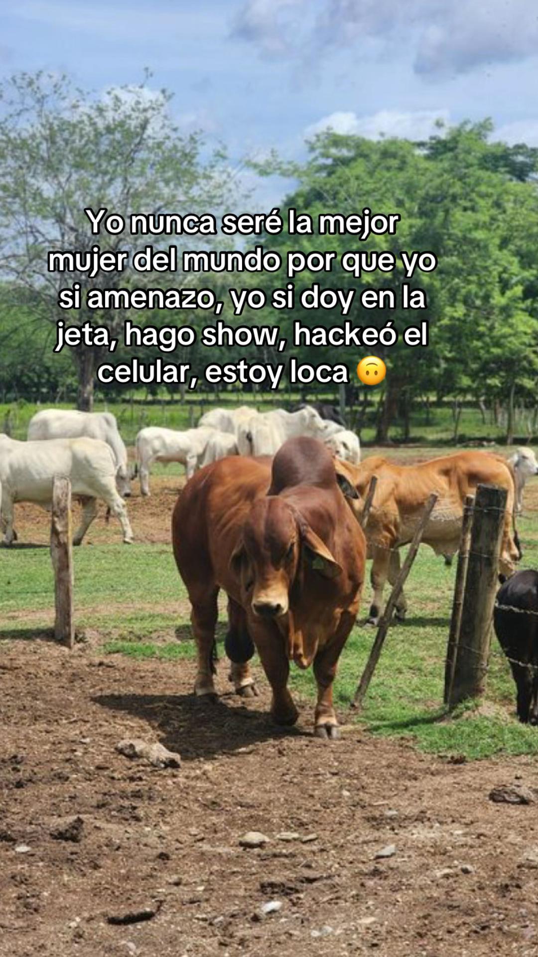 @xghslz