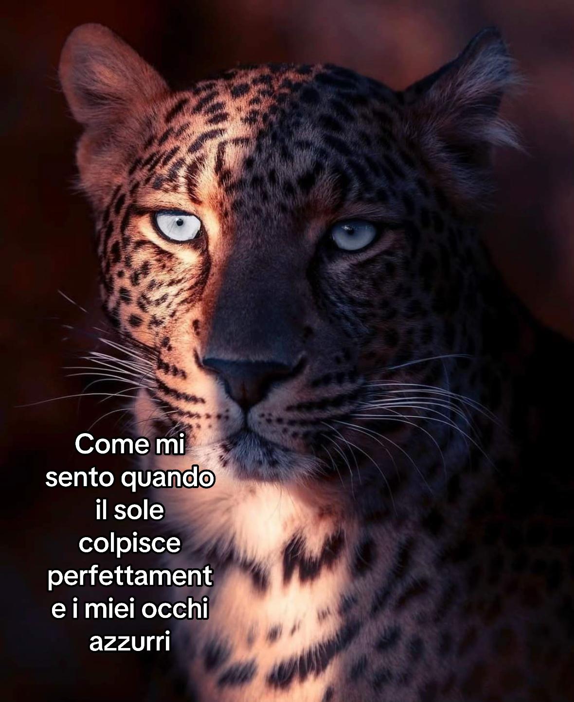 @noemi_busca