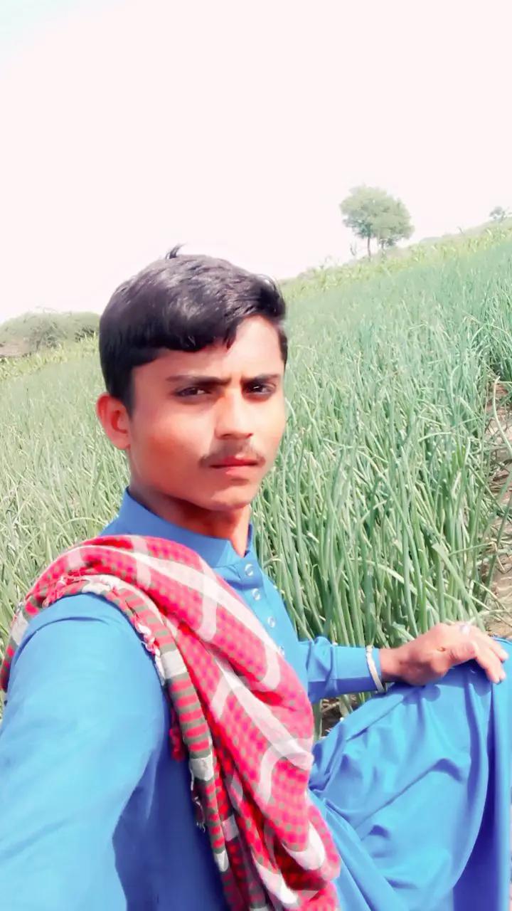 @harsin Chauhan