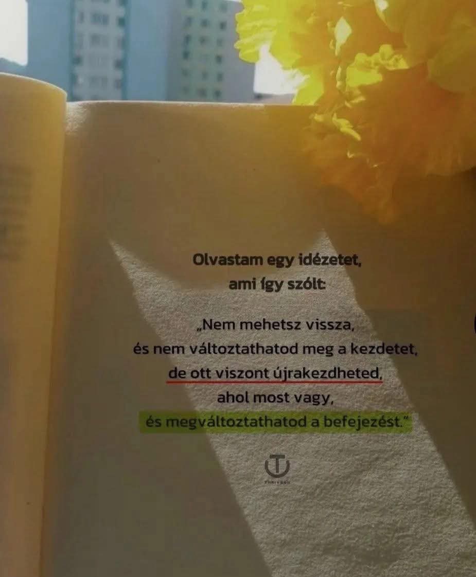 @Tímea Bácsalmási
