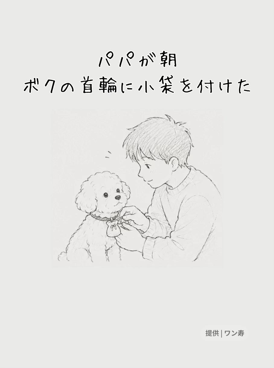 @ワン寿 | taro