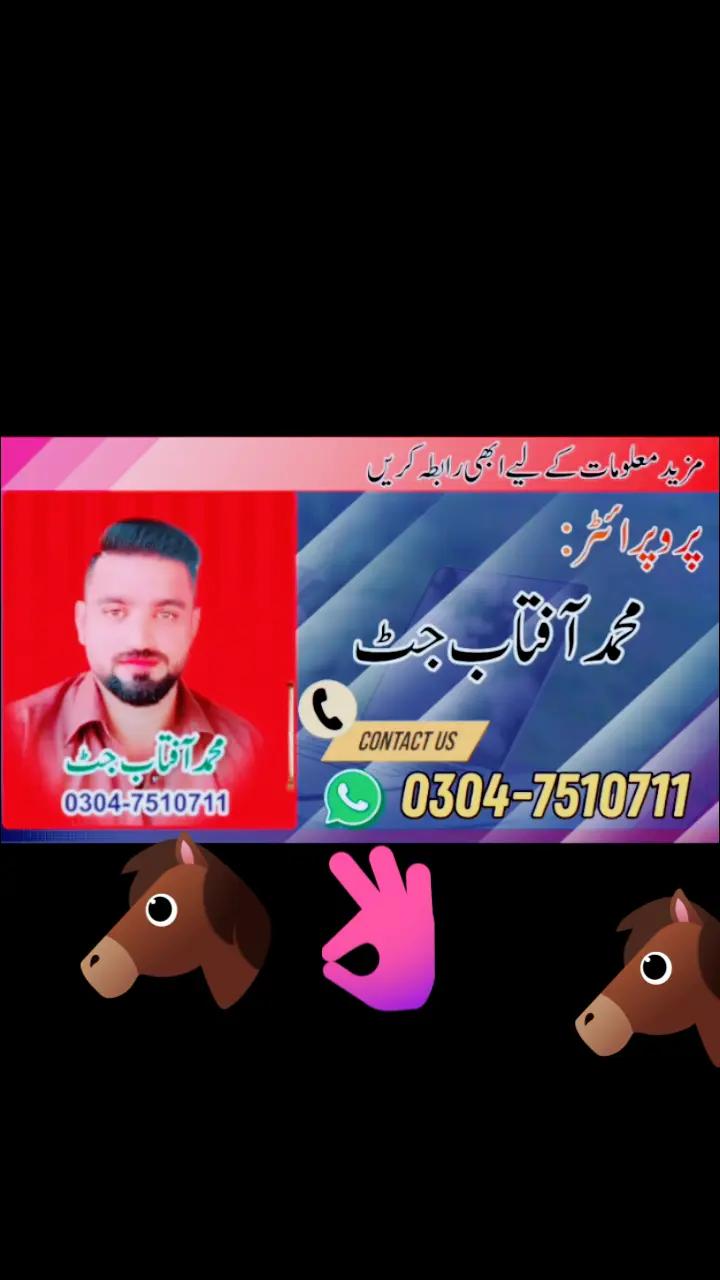 @Jutt Vakar