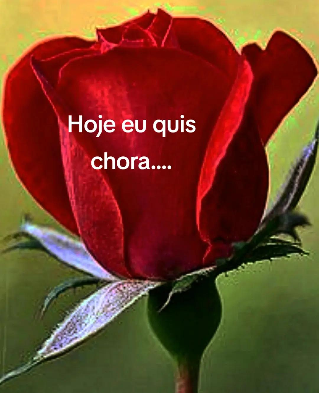 @Alicio amor infinito..