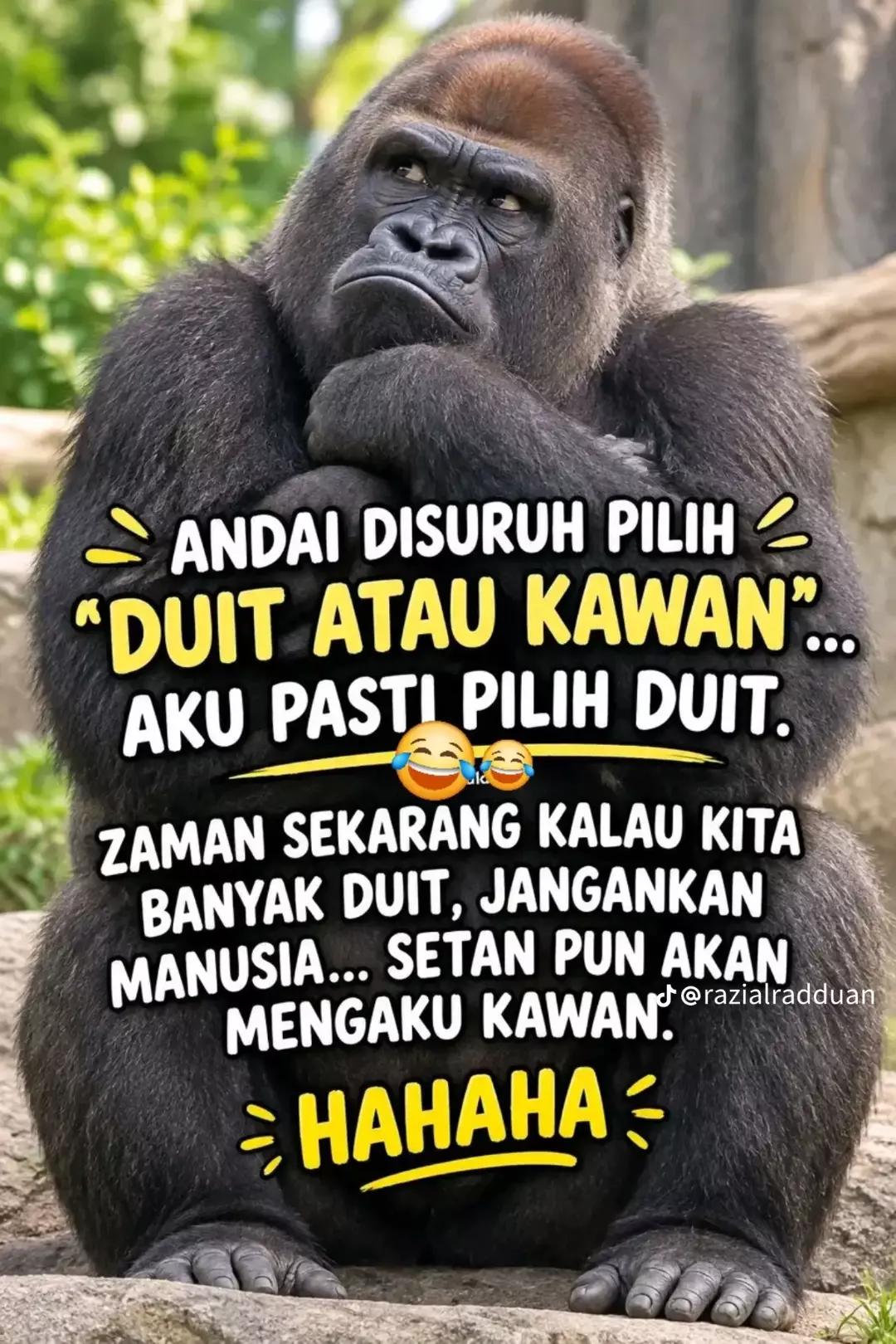 @fariz