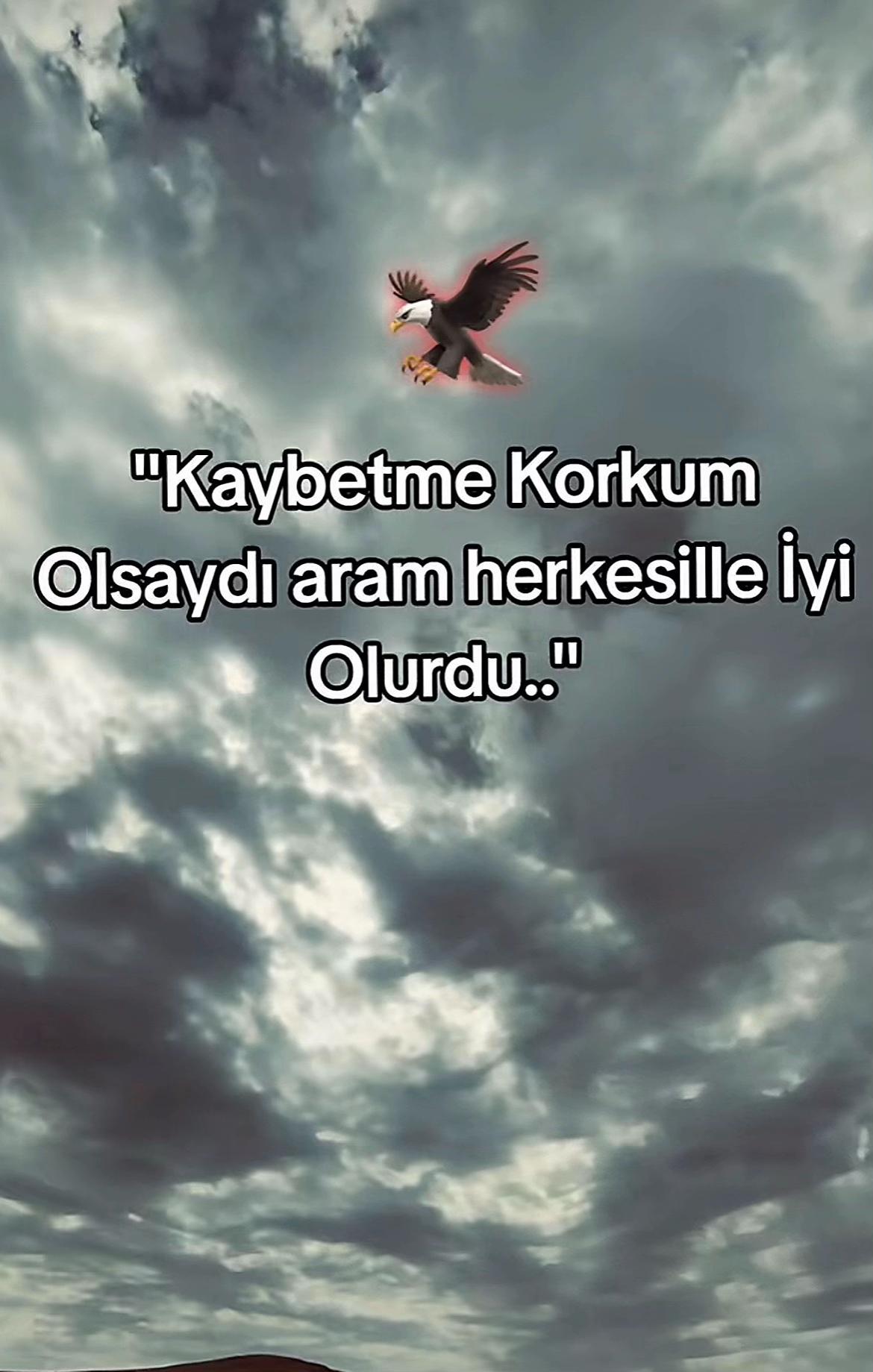 @👑 SerKan Yıldırım 👑