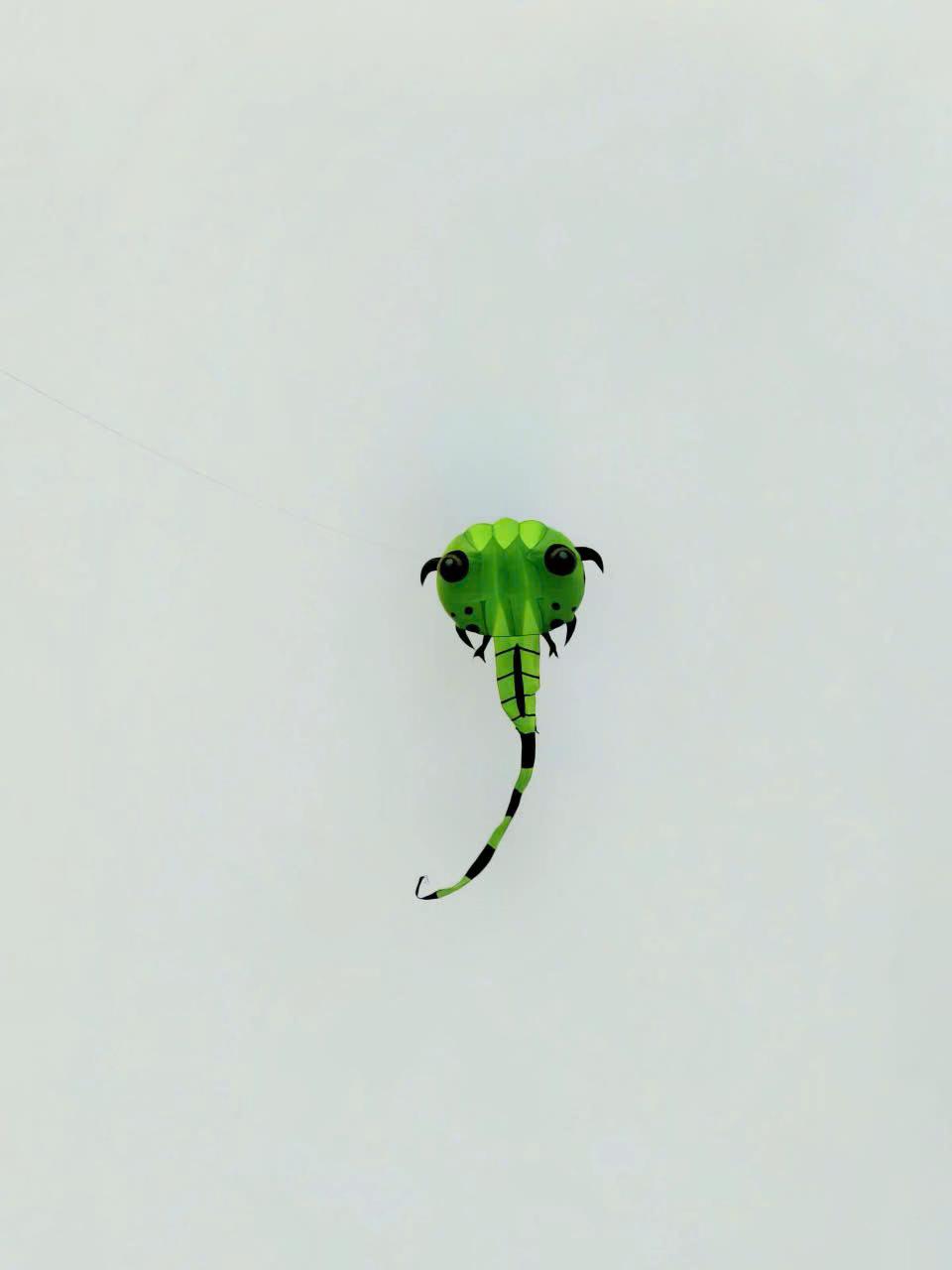 @Thả diều c&ugrave;ng Lợi
