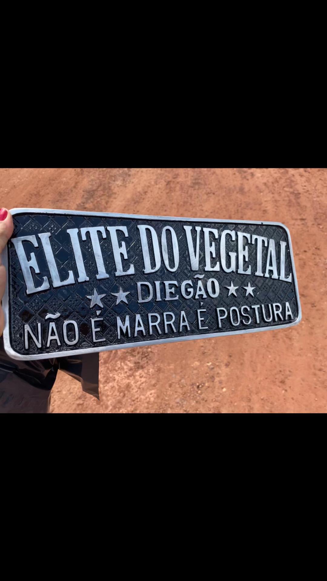@Sylvia_placas