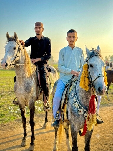 @Afaq gujjar chakora
