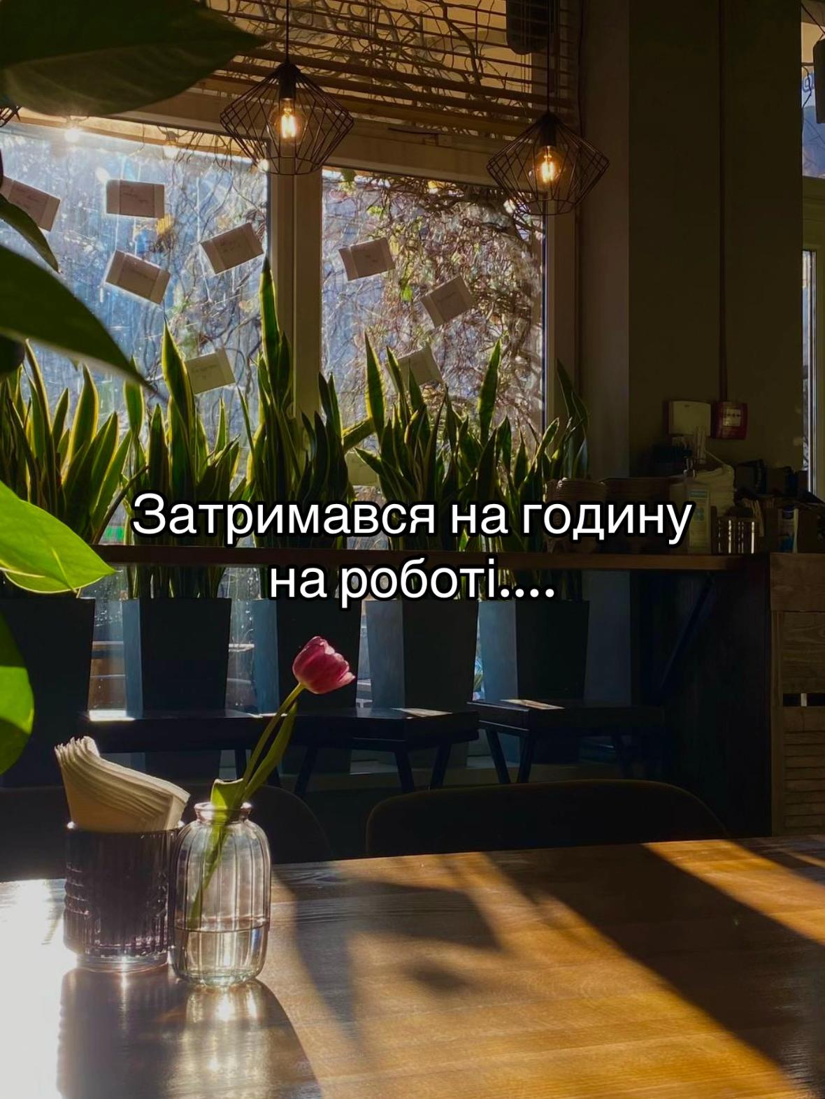 @MR.ESPRESSO