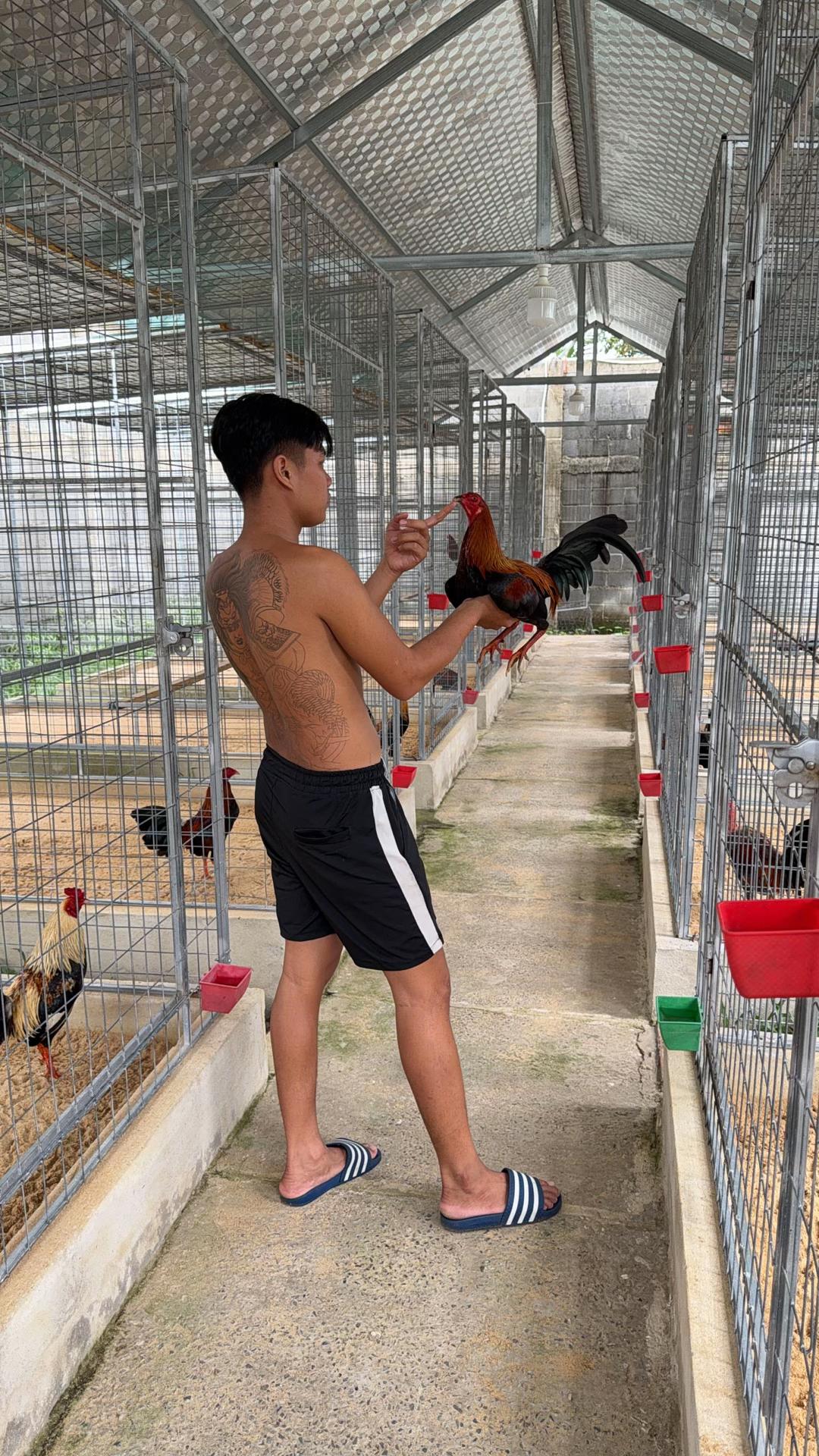 @Thông Lê