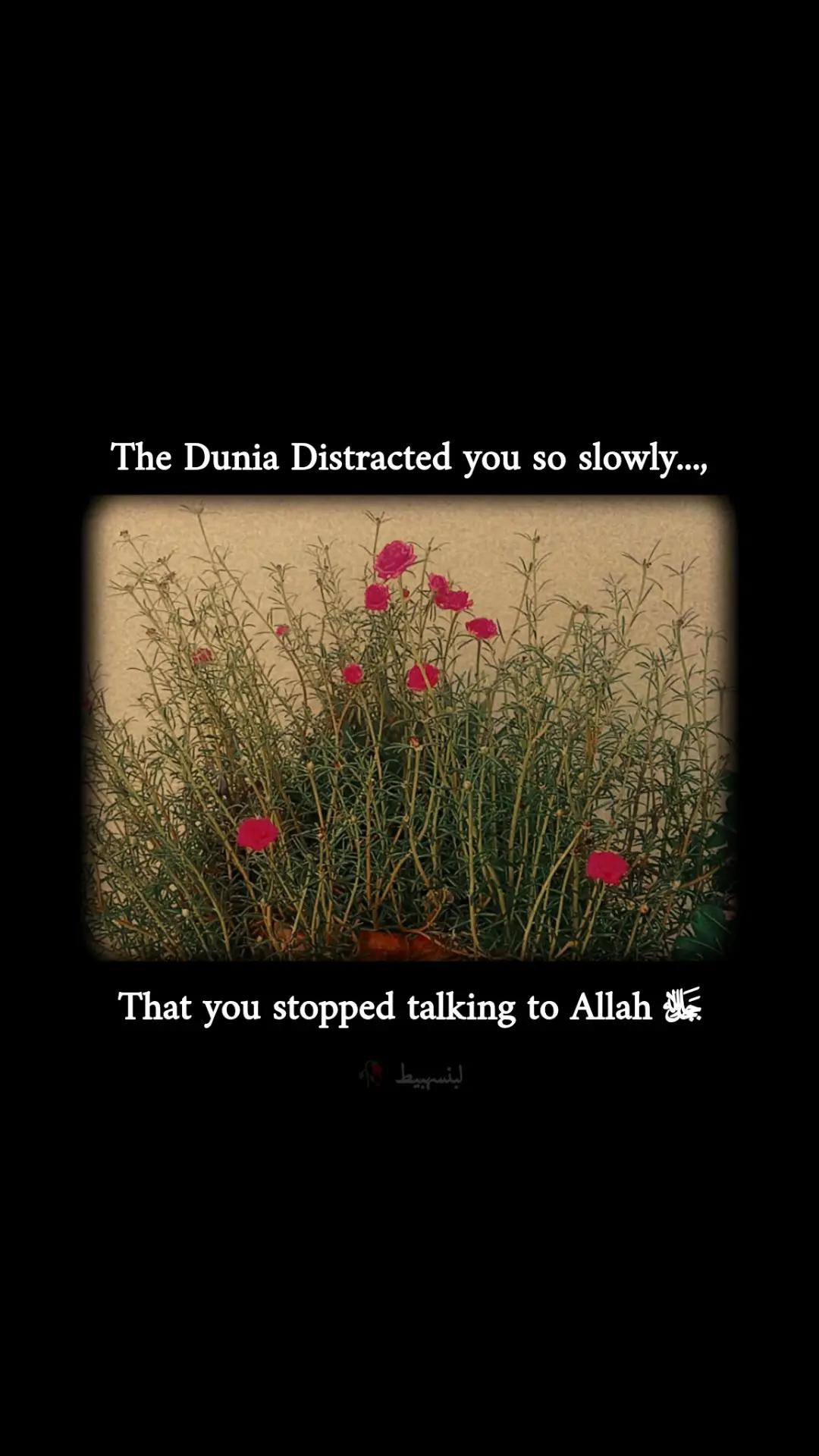 @لبنسہبیط✒️📖🥀