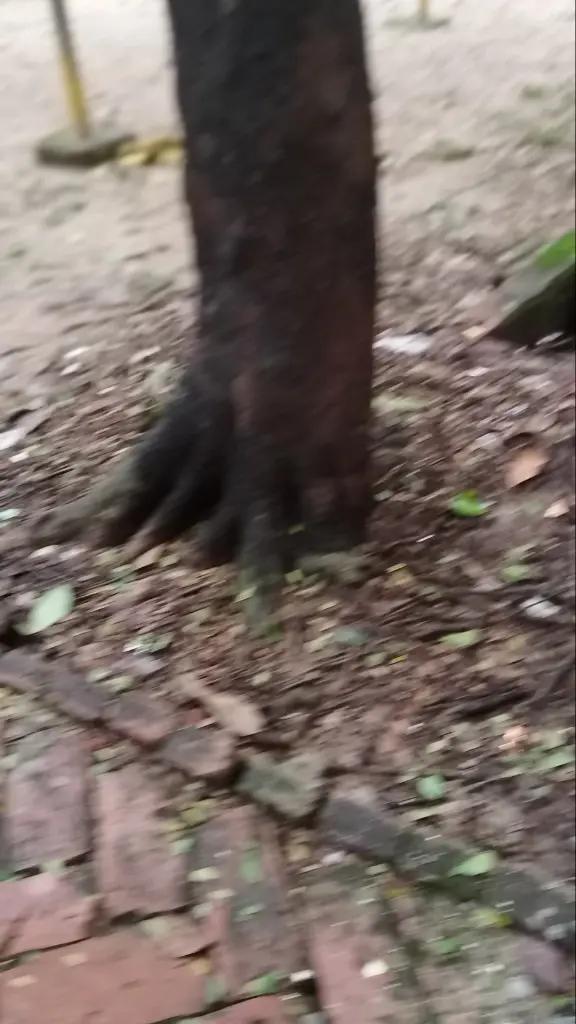@নীল আকাশের তাঁরা
