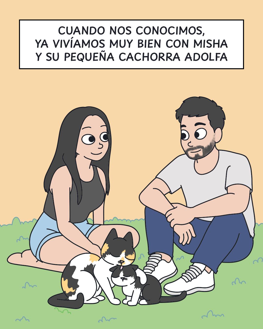 @Cosa de gatos