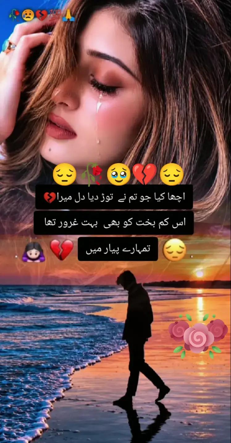 @Hassan Hussain💞