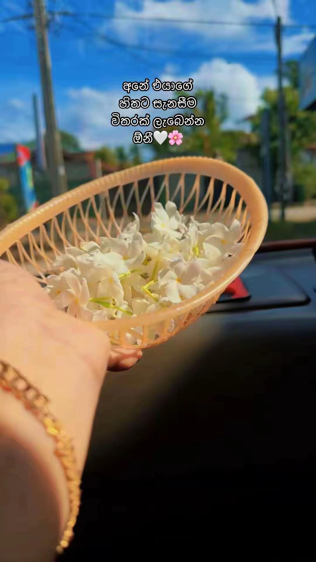@𝘼𝙡𝙚𝙭𝙮𝙖𝙖 ♡