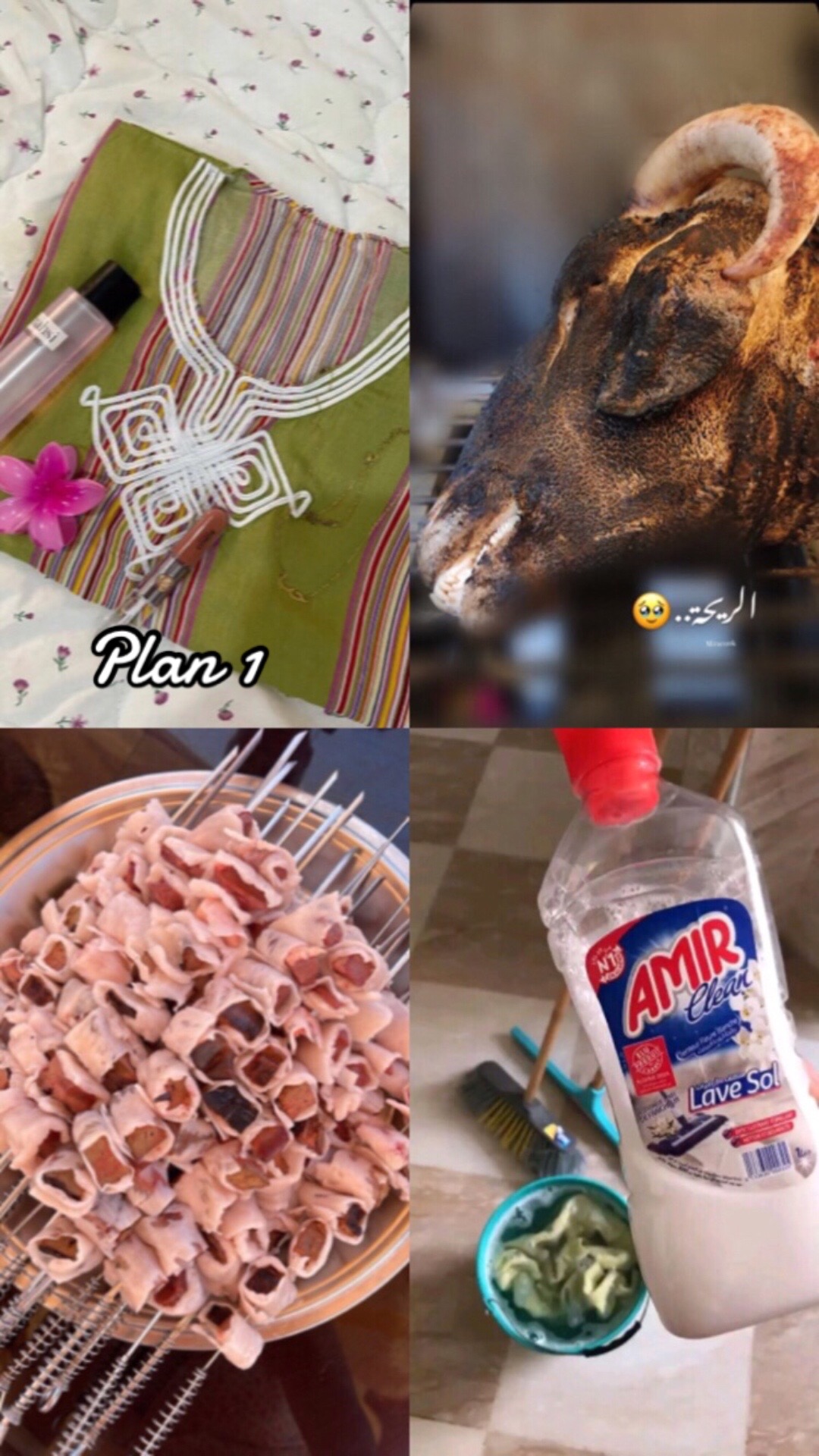 @🦢🌸