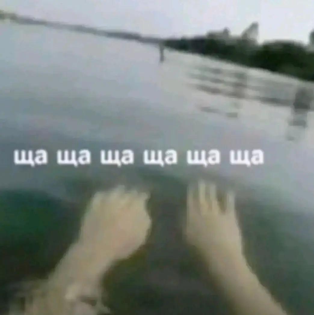 @user18407900166