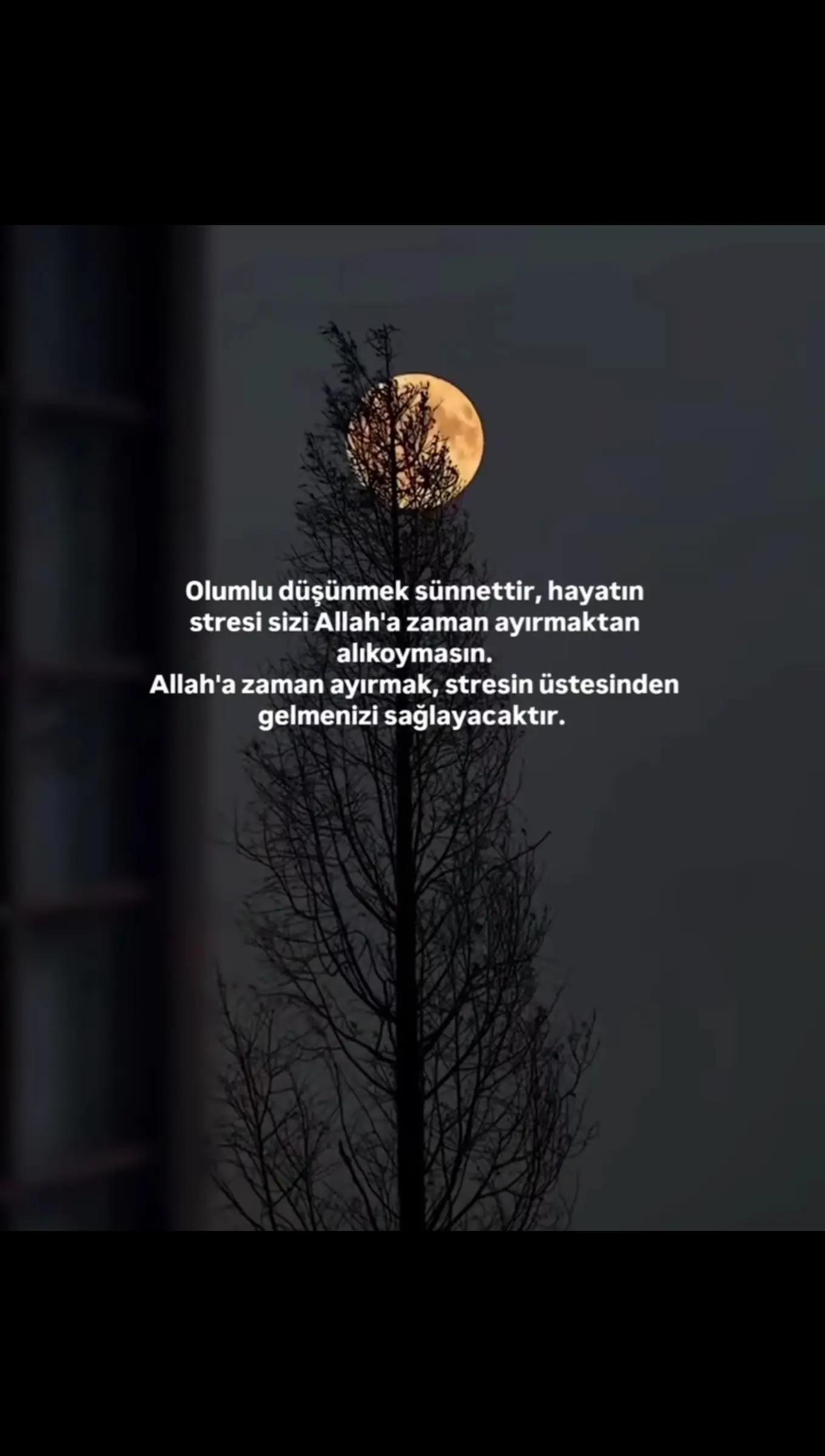 @&pound;|)@🕊️