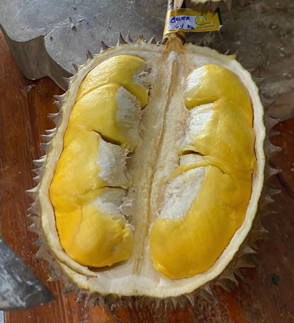 @Cicip Durian