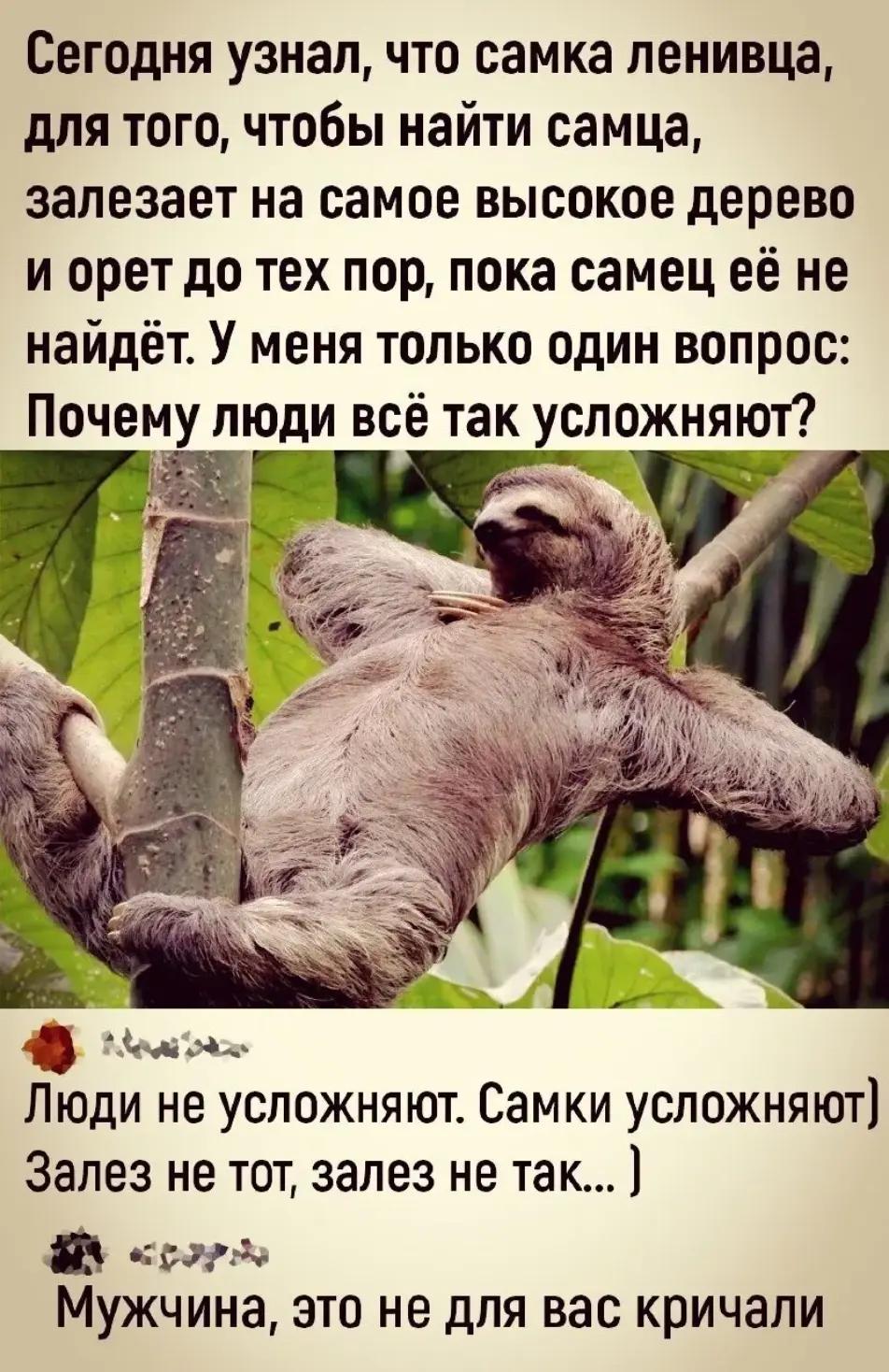 @Диман