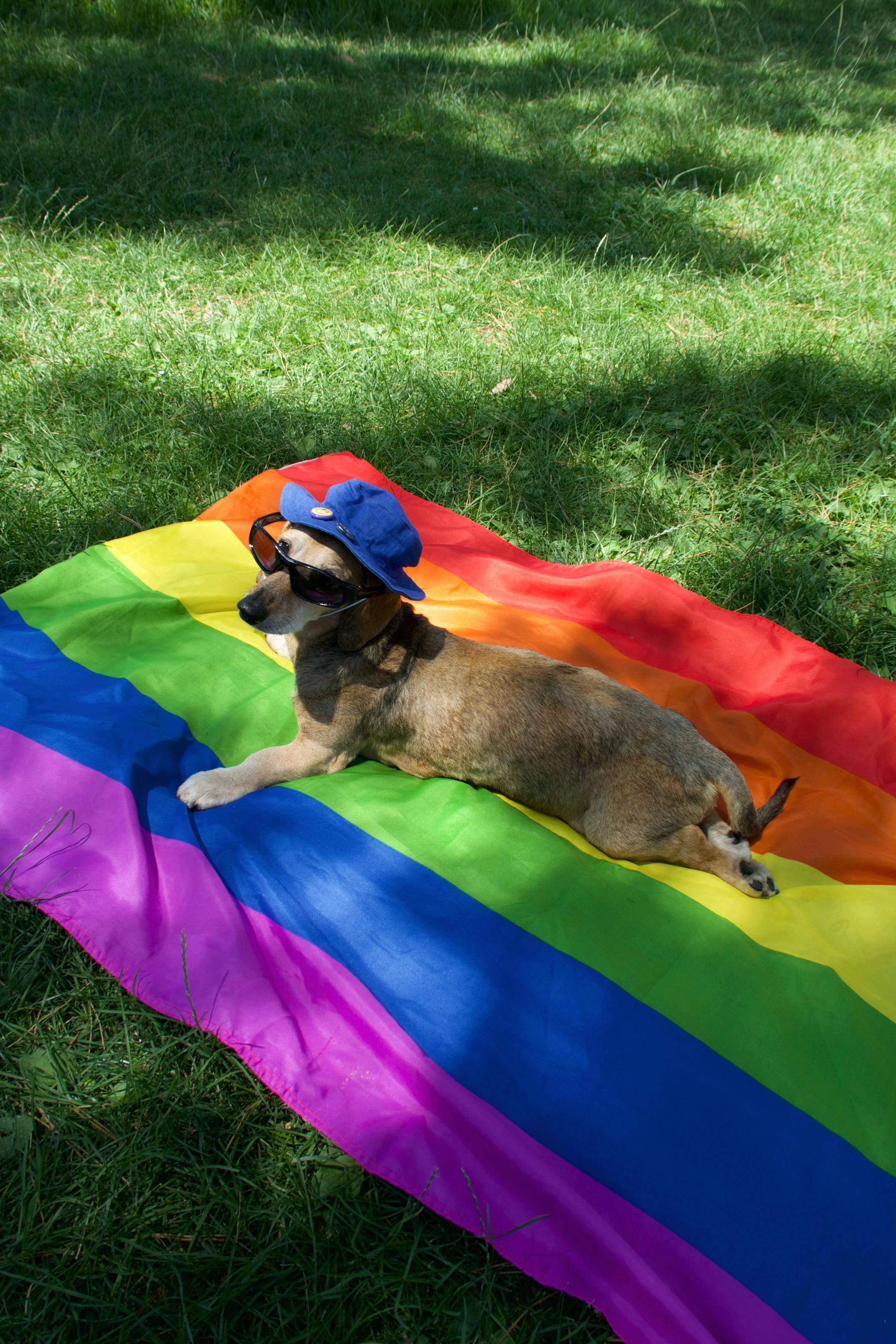 @Lucas The Dog