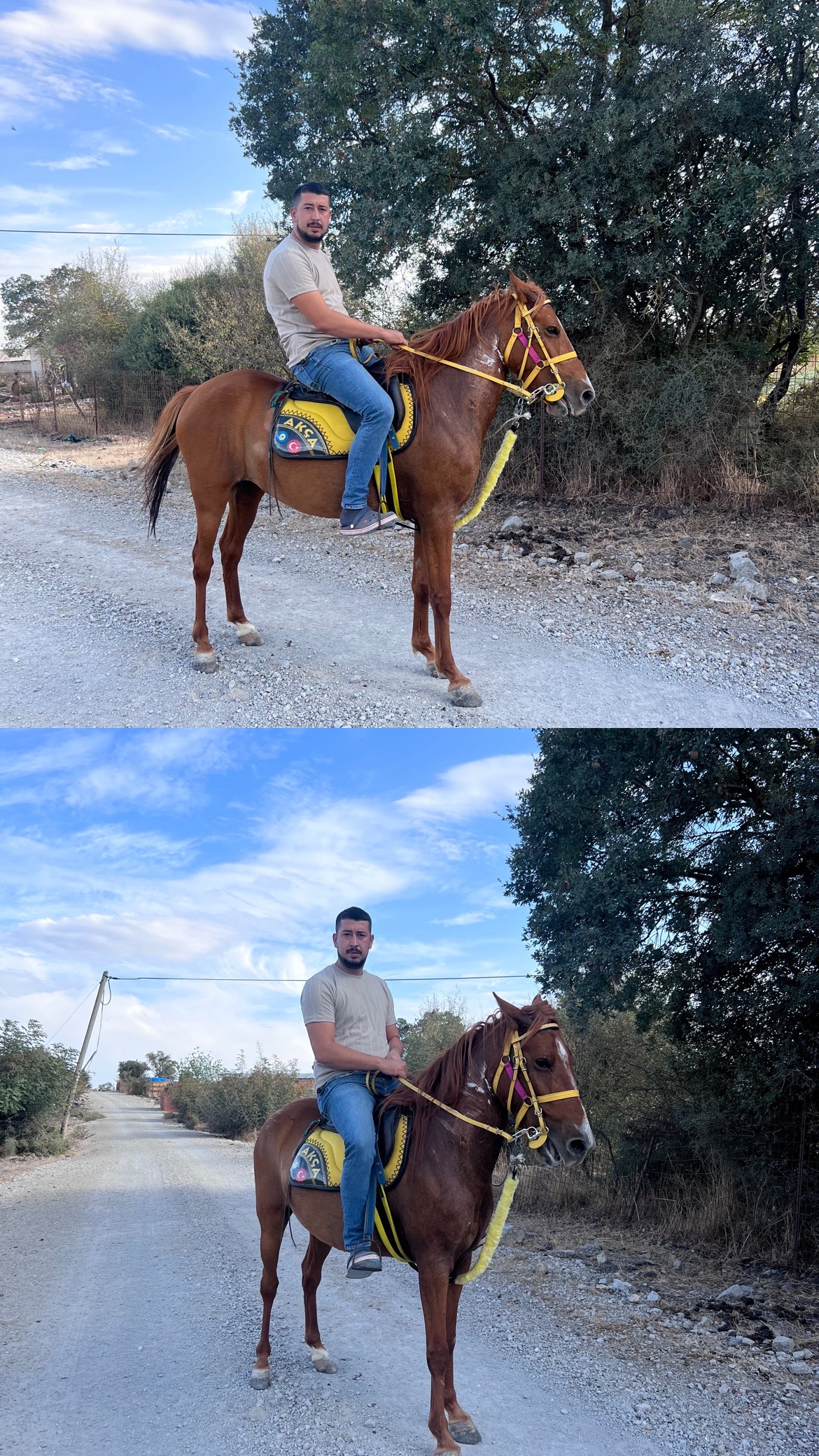 @Enes Akça