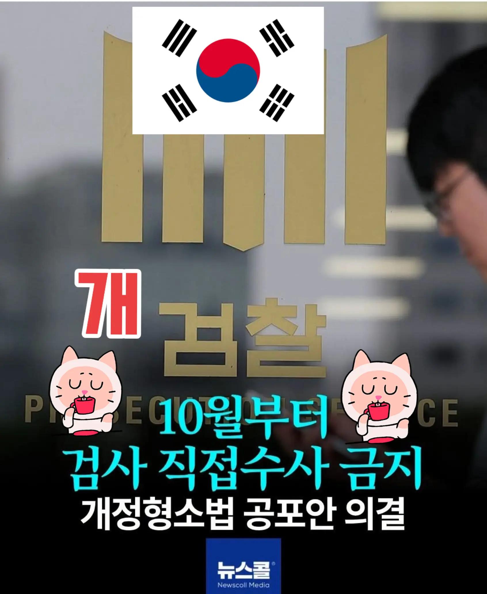 @🌺시라소니[본]🌺