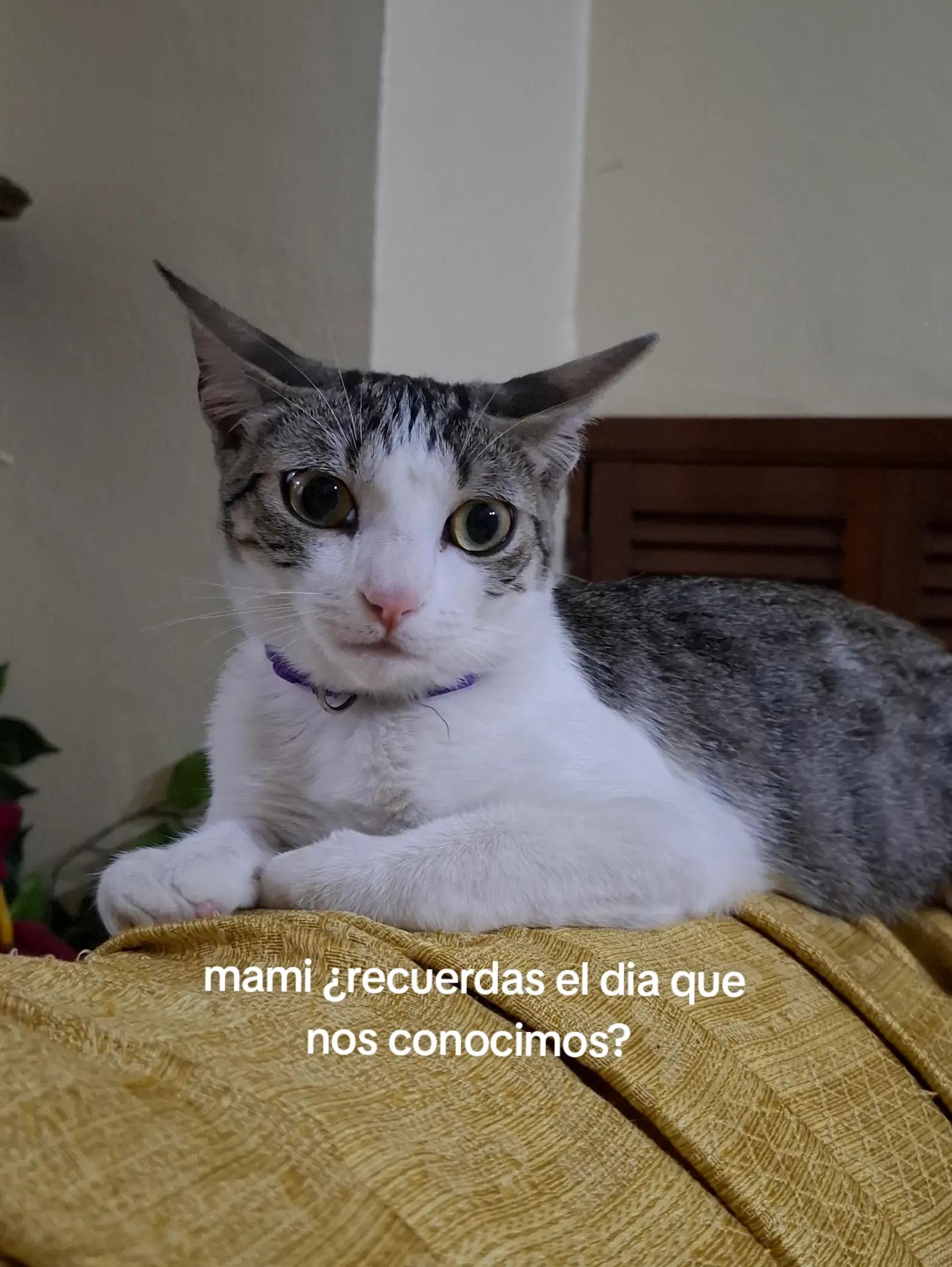 @Emily Camacho 💋