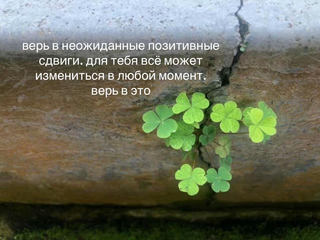 @тг: грустнобезтебя 🪶