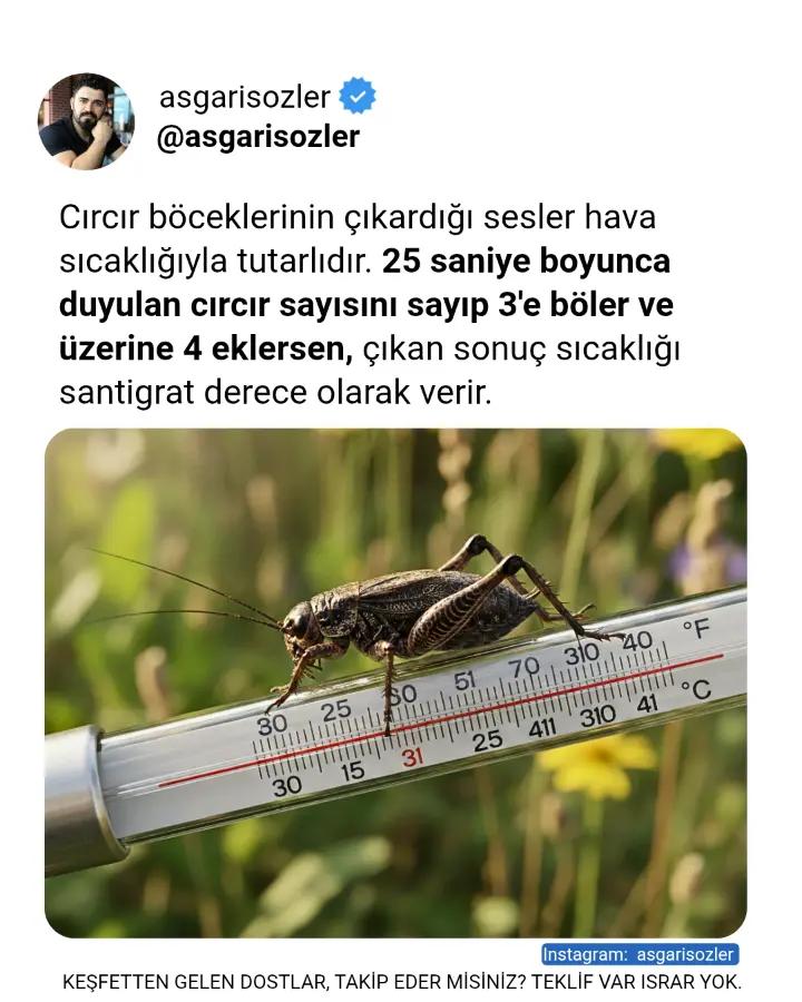 @asgarisozler