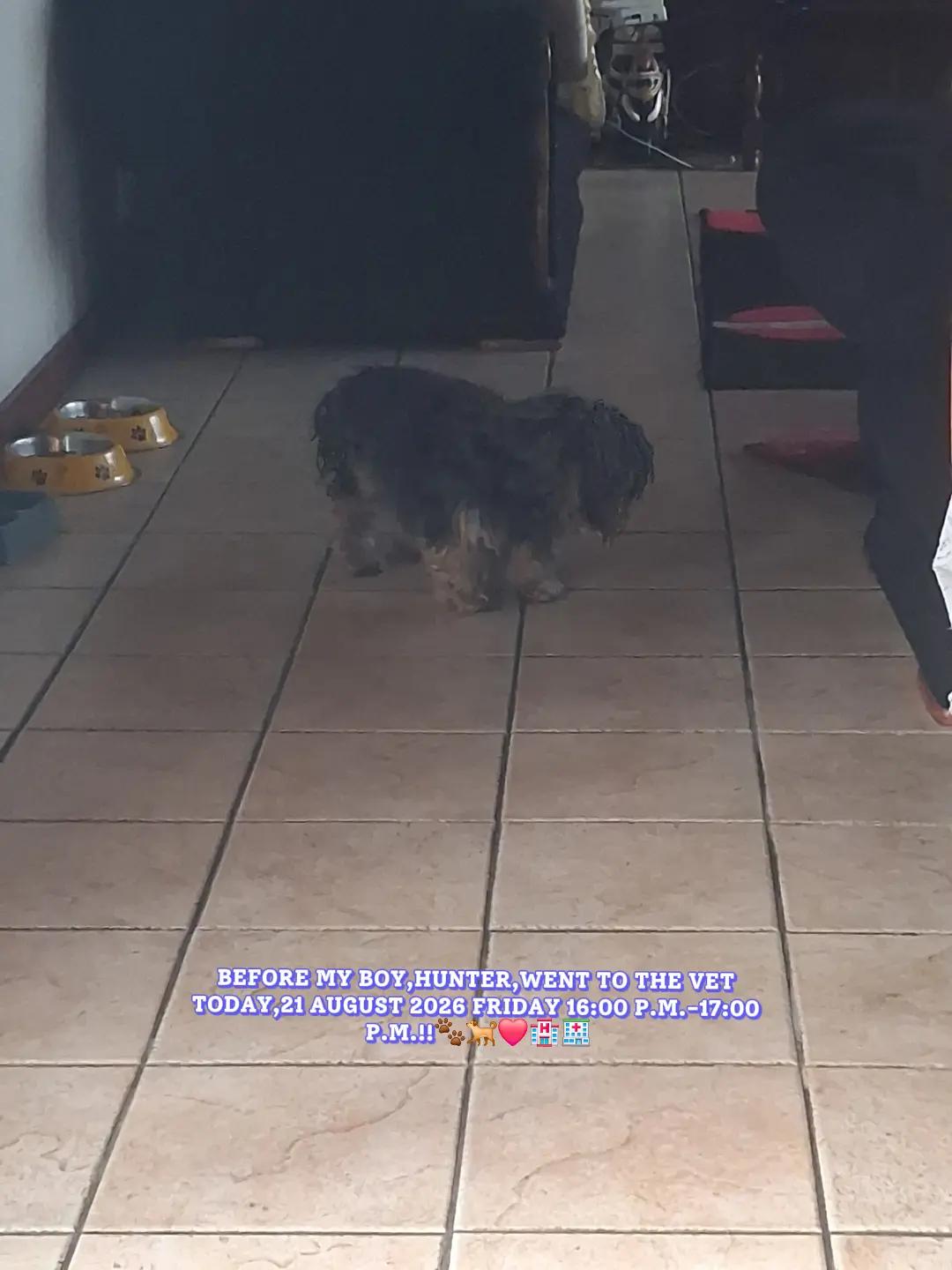 @❤️🐺𝓜𝓘𝓢𝓗𝓚𝓐🐺❤️