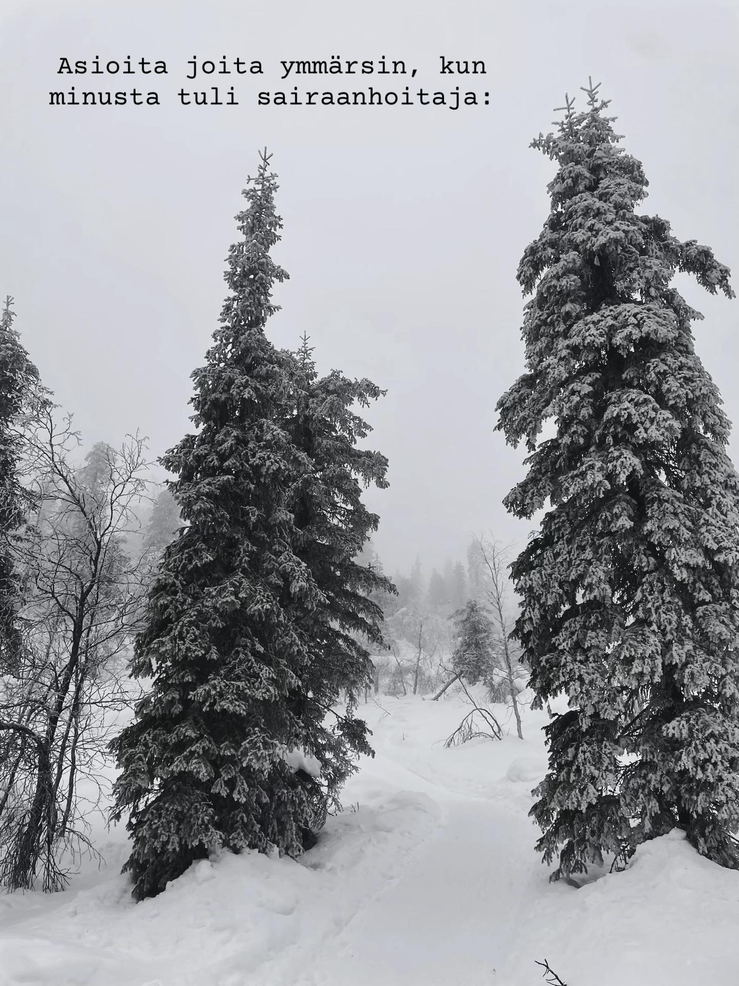 @Suvi Marlene Ketonen