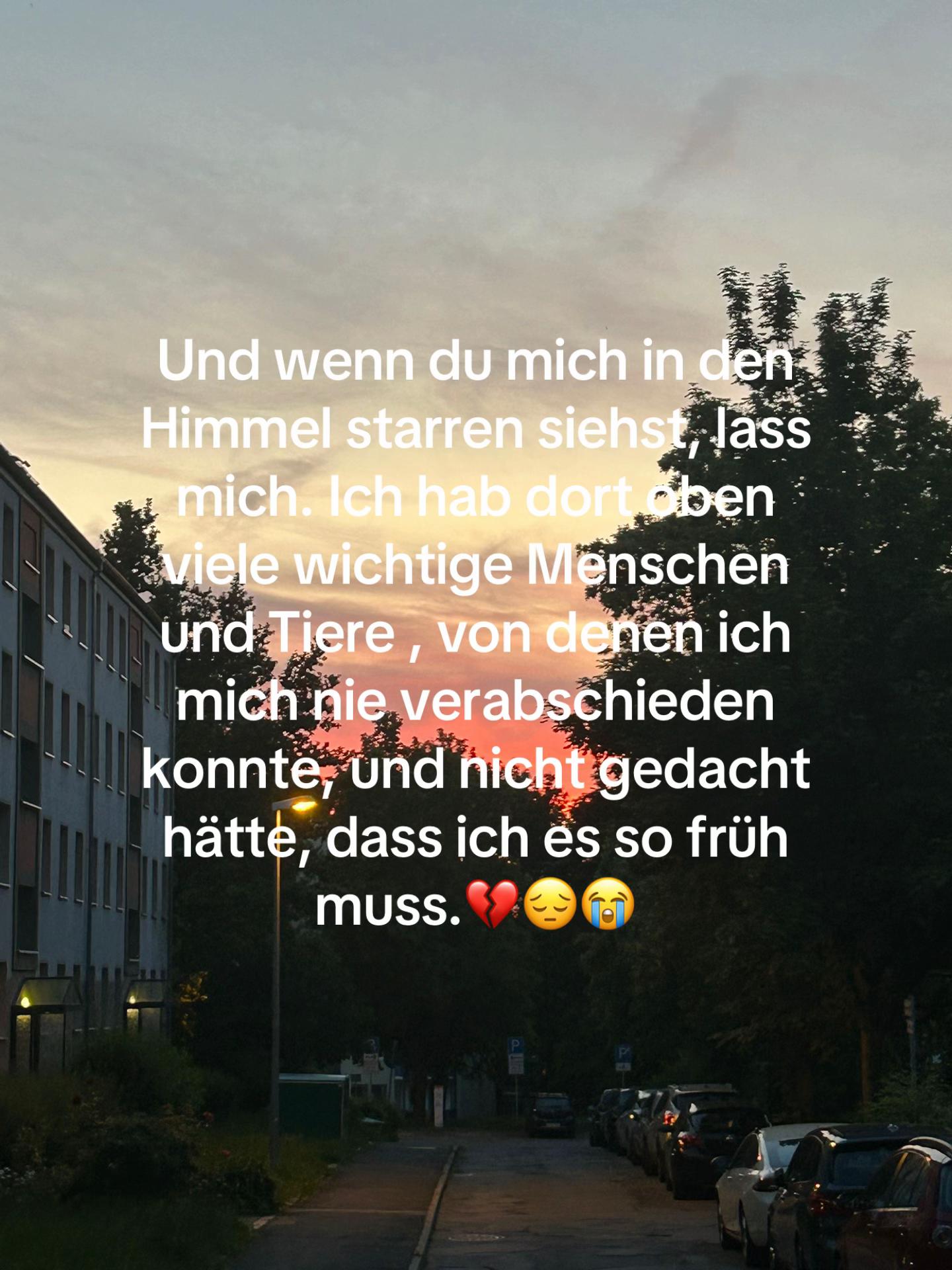 @Josyhelbig06