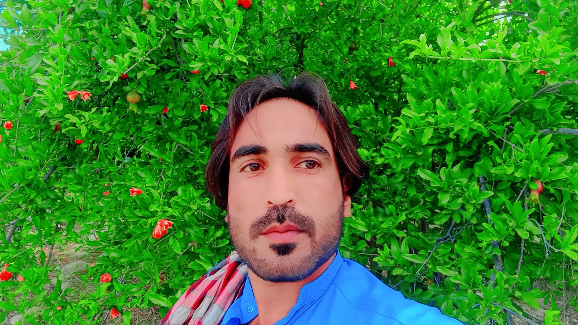 @Abdulgaffar Tagrani