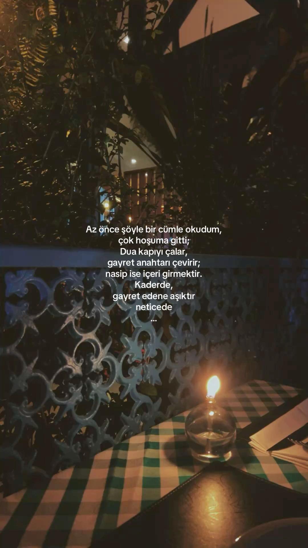 @𝓔𝓵𝓲𝓯