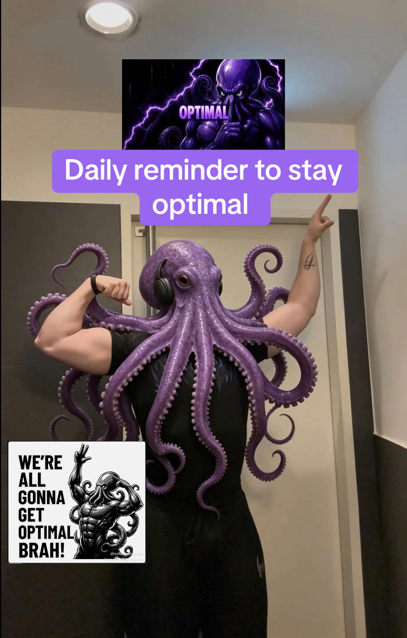 @Optimal Octopus