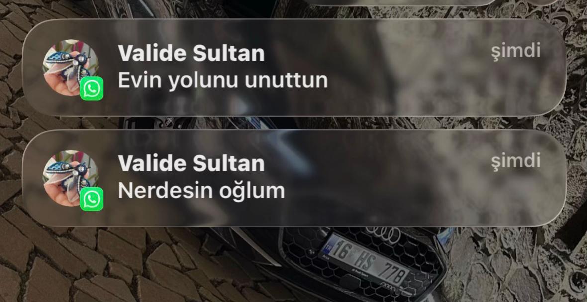 @Halil Tanay SALİM