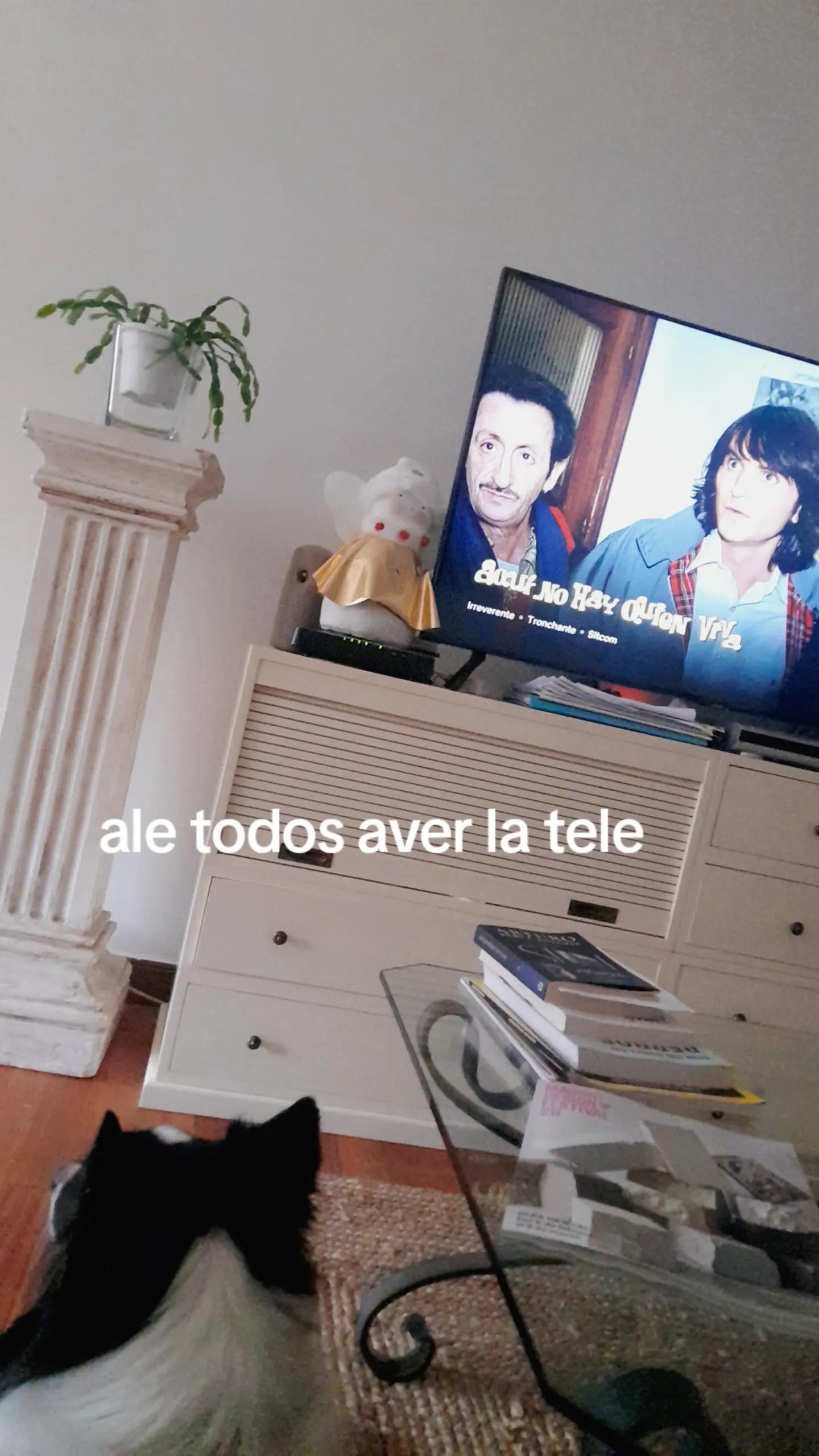 @bambi