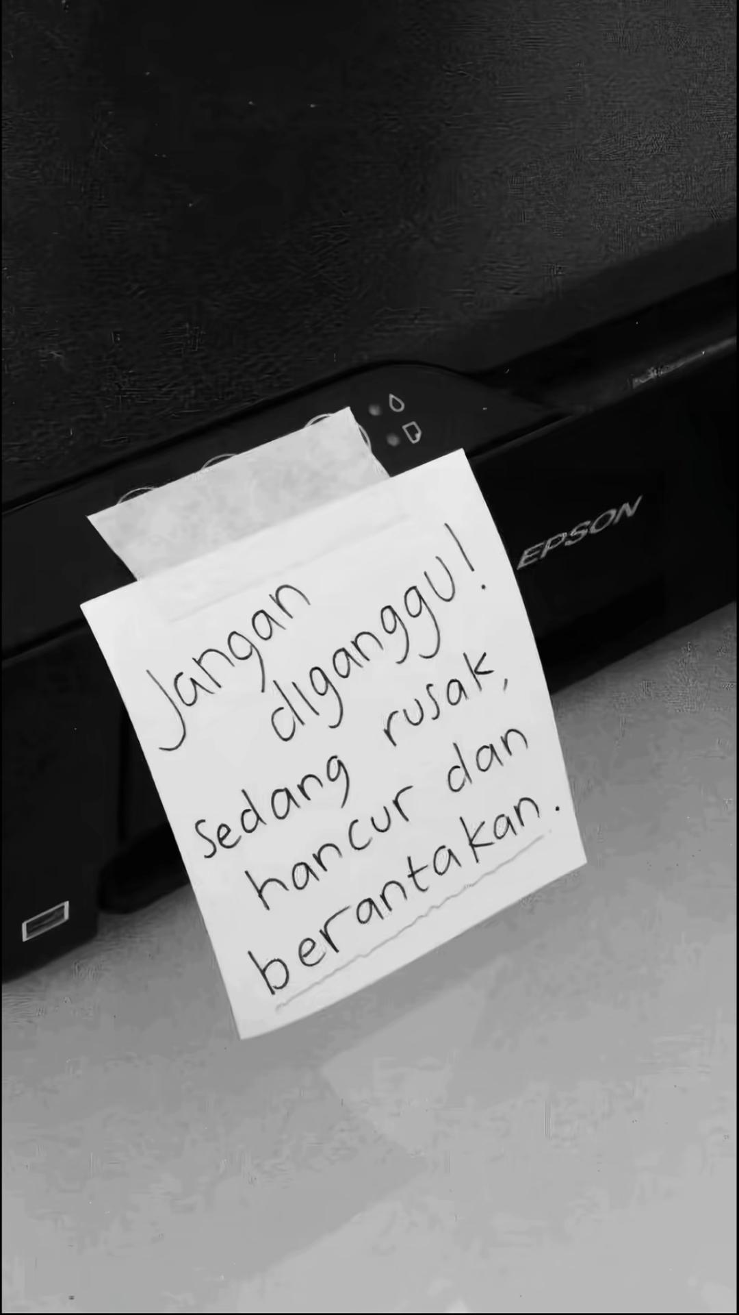 @Pusss
