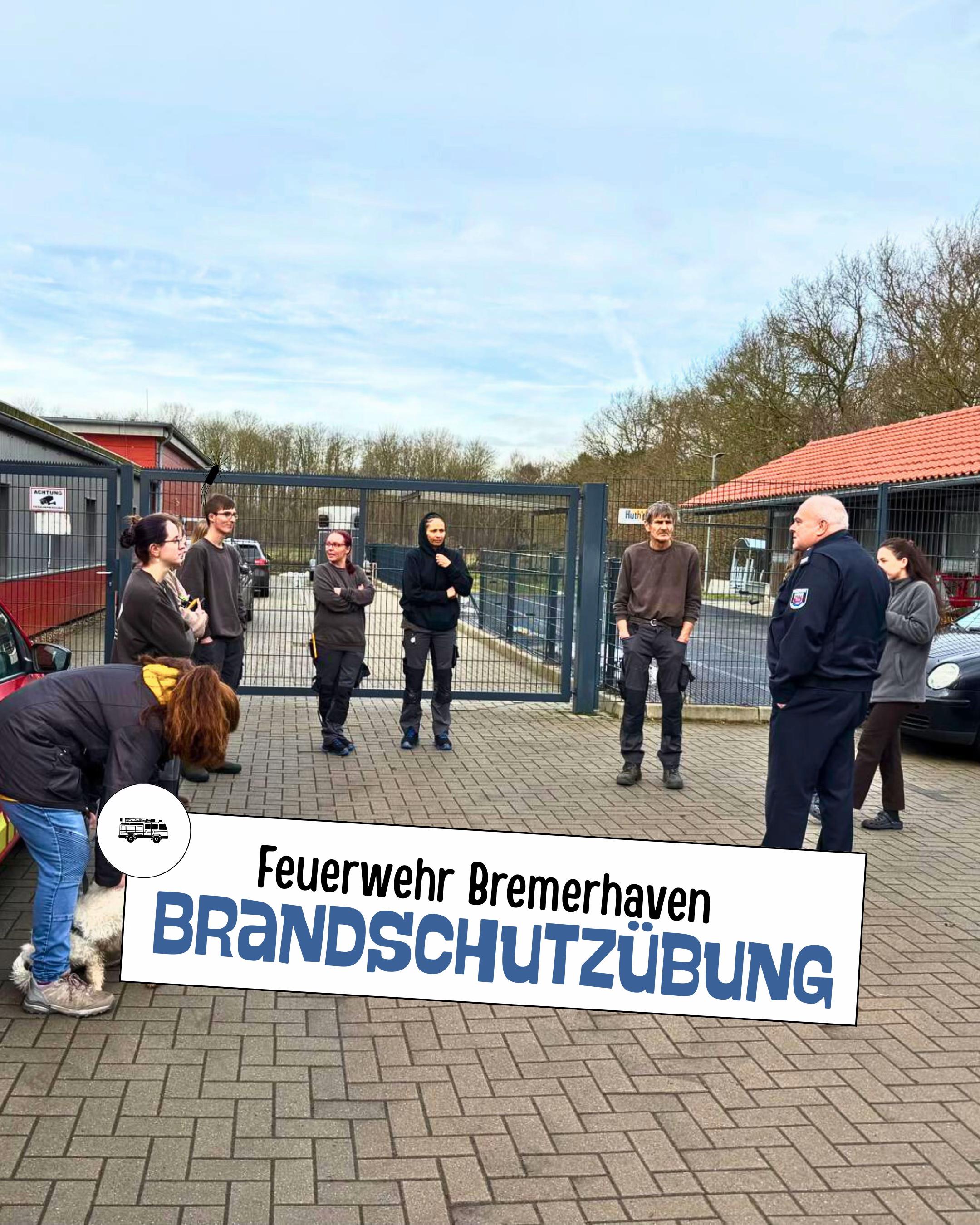 @Tierheim_Bremerhaven