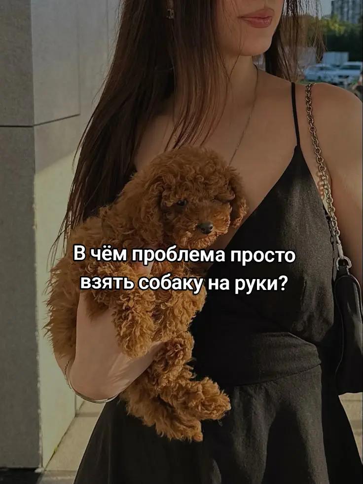 @⚡Кита from авито⚡