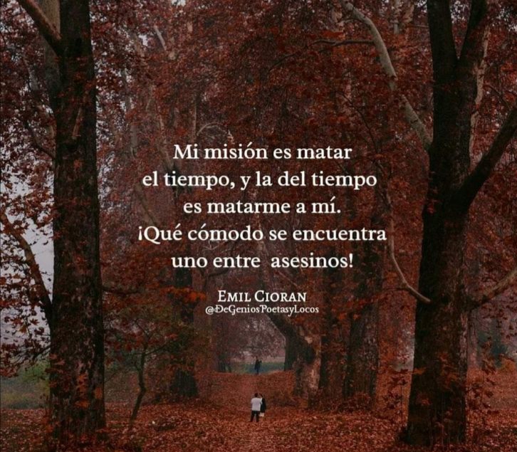 @Carmen penalva