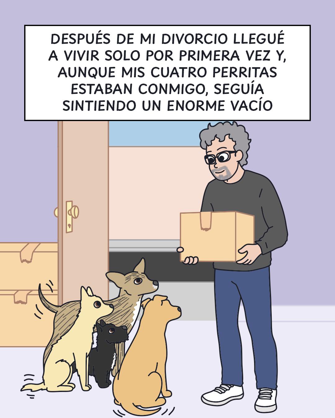 @Cosa de gatos