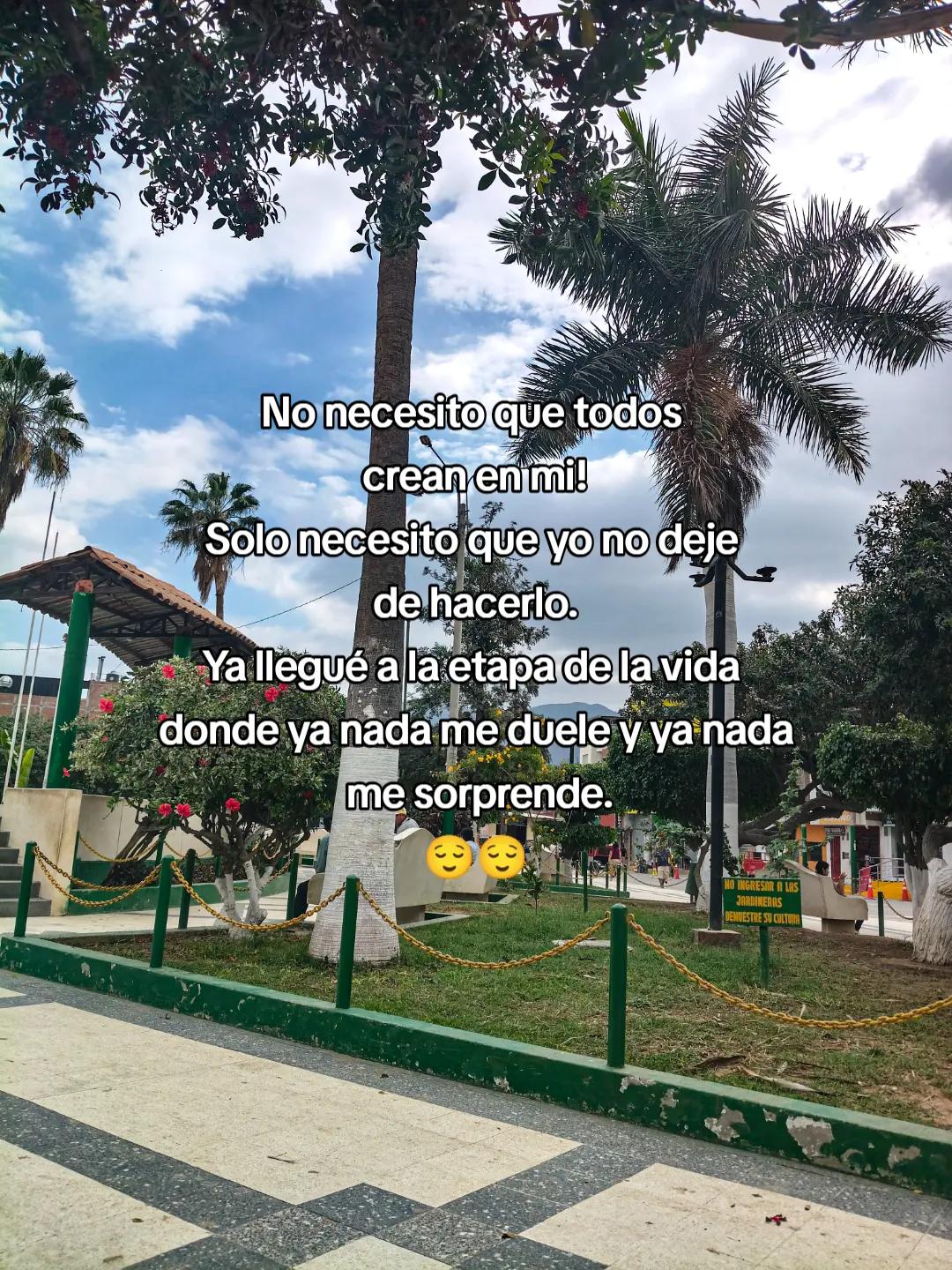 @Tineo_Oficial