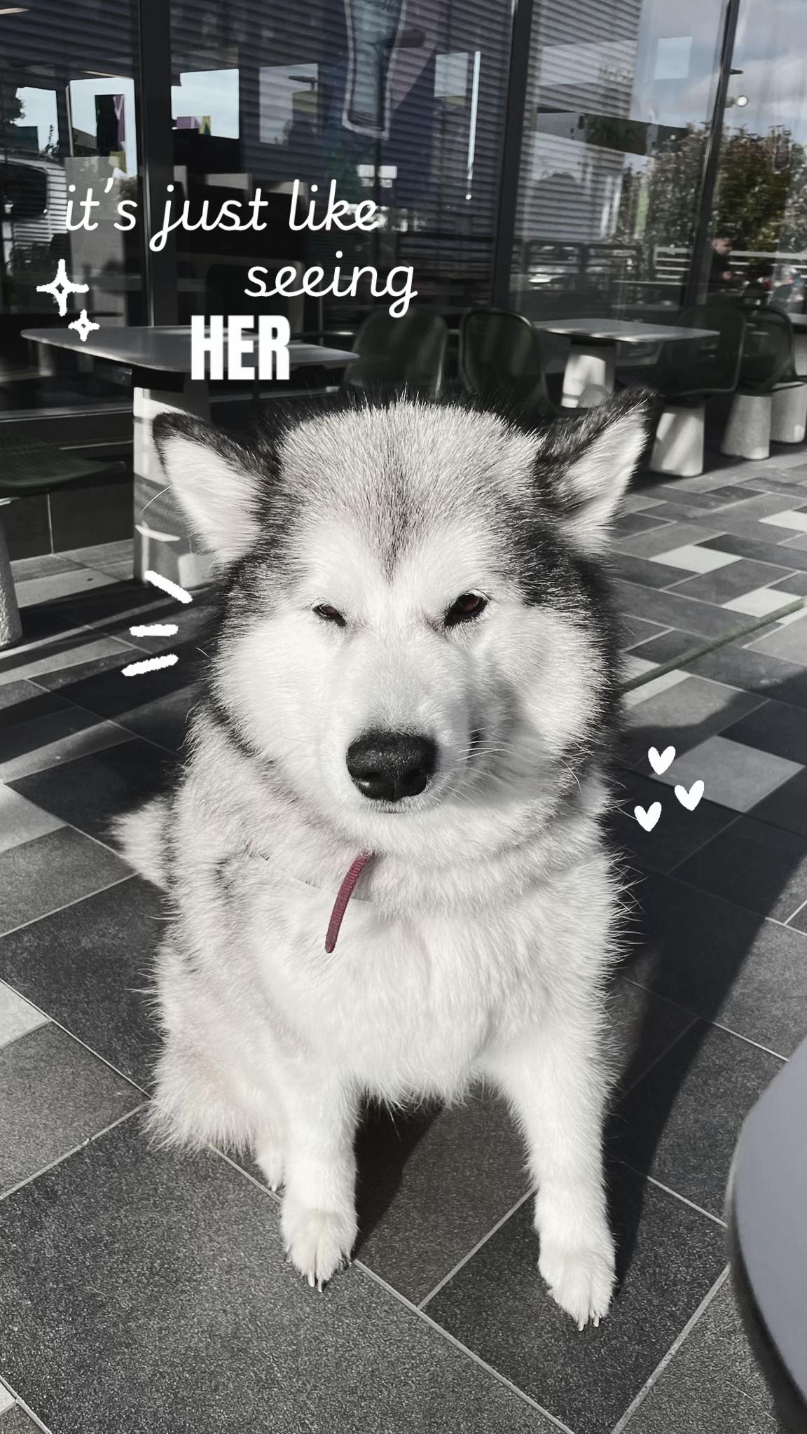 @𝒿𝑒𝓈𝓈𝒷.𝓈𝓅𝒶𝓂𝓂