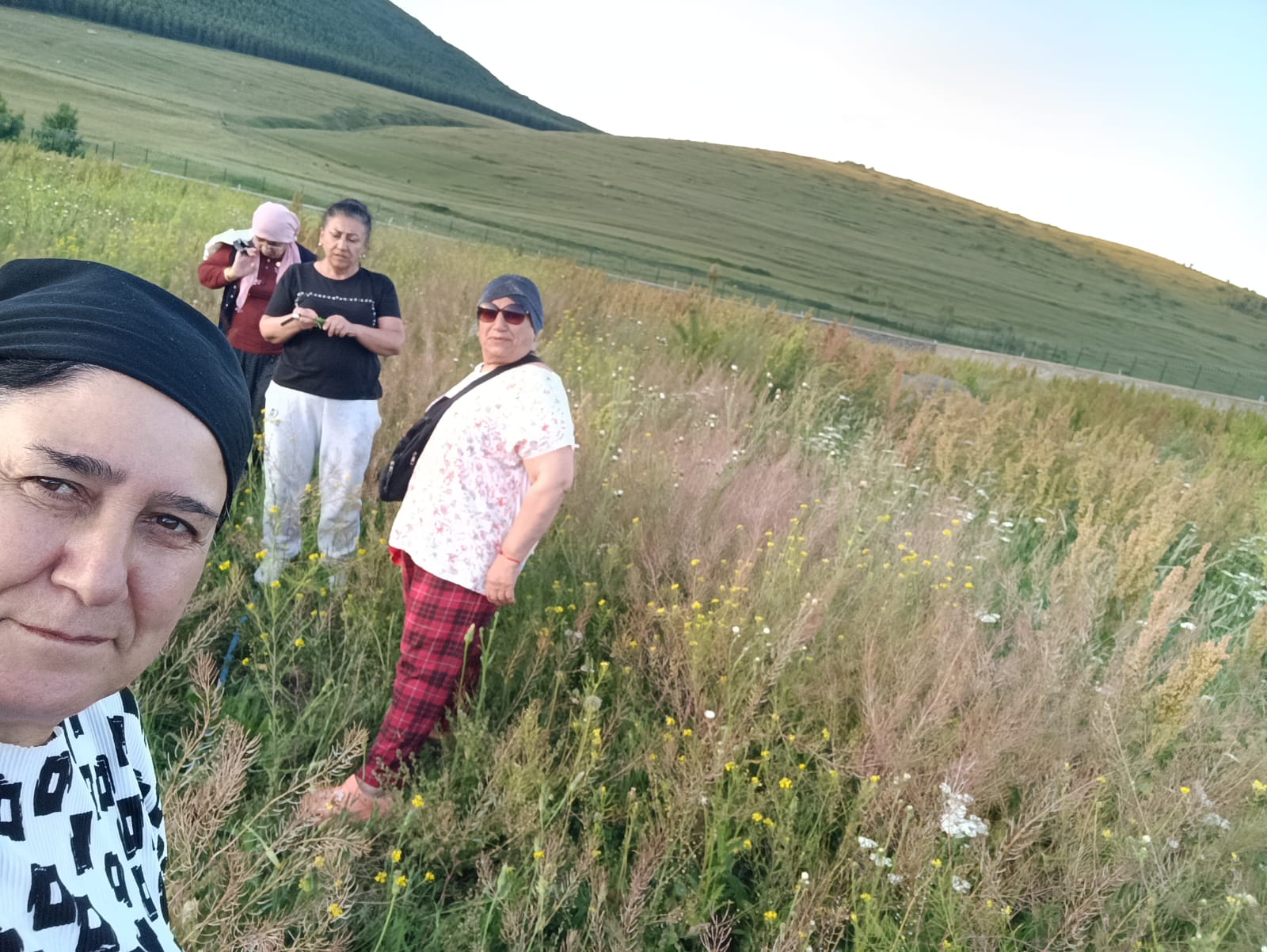 @Ardahan cataldere kunzut