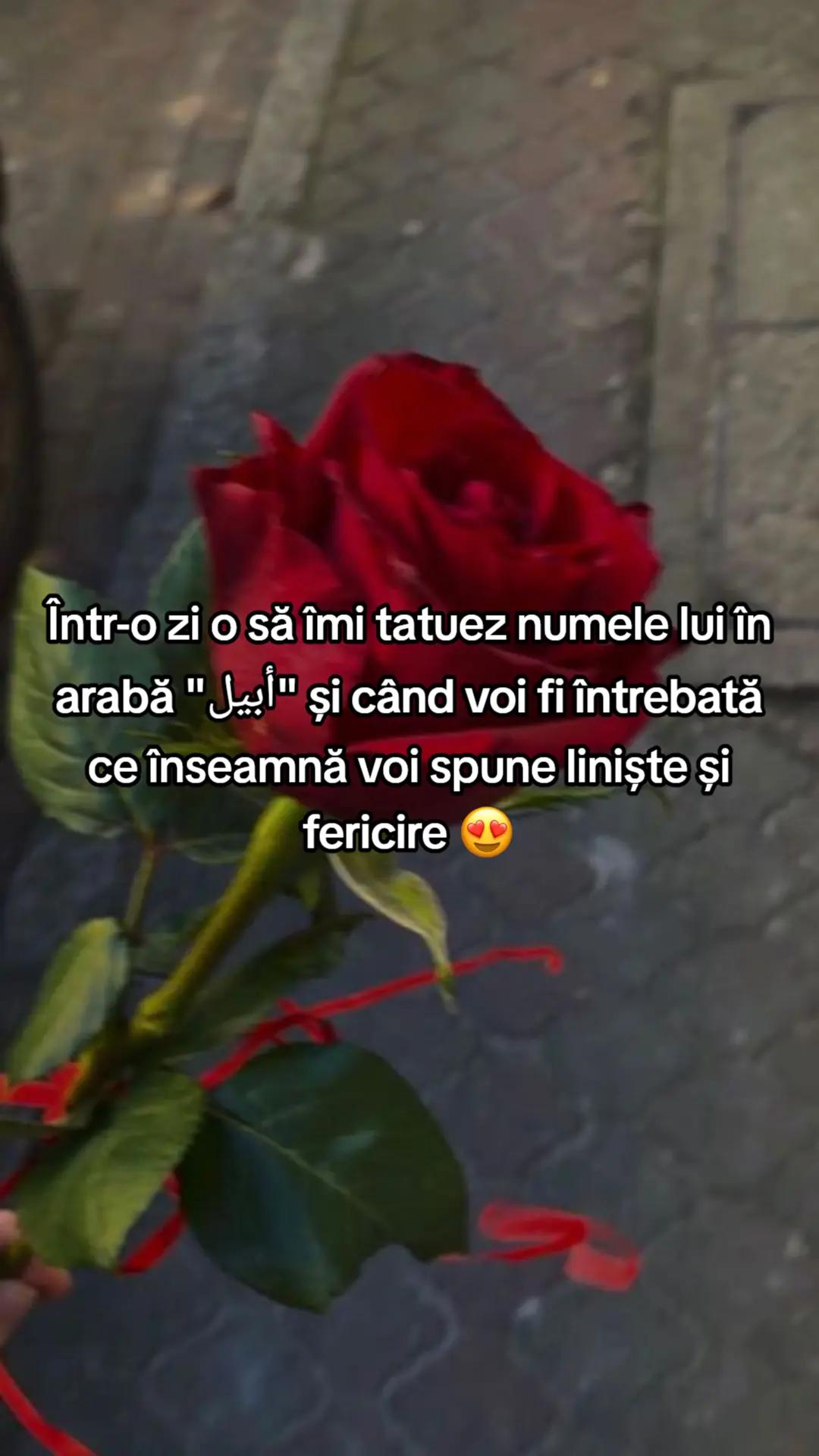@𝑮𝑰𝑵𝑨&𝑨𝑩𝑬𝑳 𝑴𝑼𝑺𝑰𝑪❤️